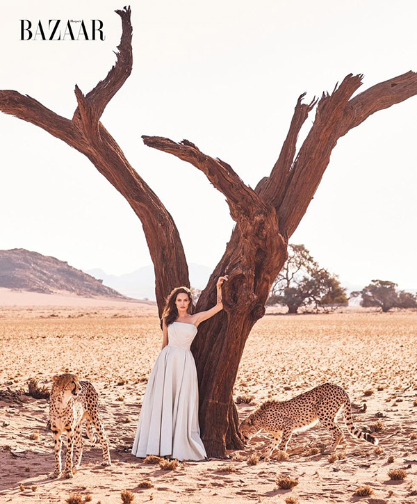 安吉丽娜·朱莉写真气场爆棚，非洲大草原与豹共处