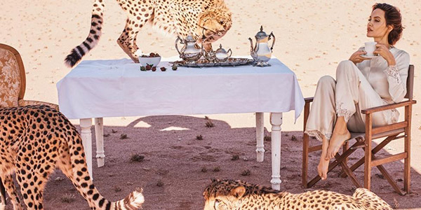 安吉丽娜·朱莉写真气场爆棚，非洲大草原与豹共处